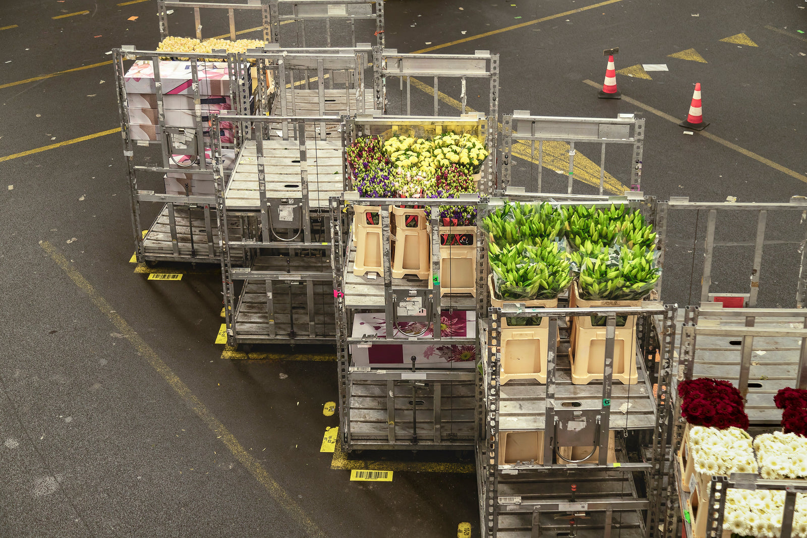 Transporter des fleurs au frais : conseils pour le secteur floral