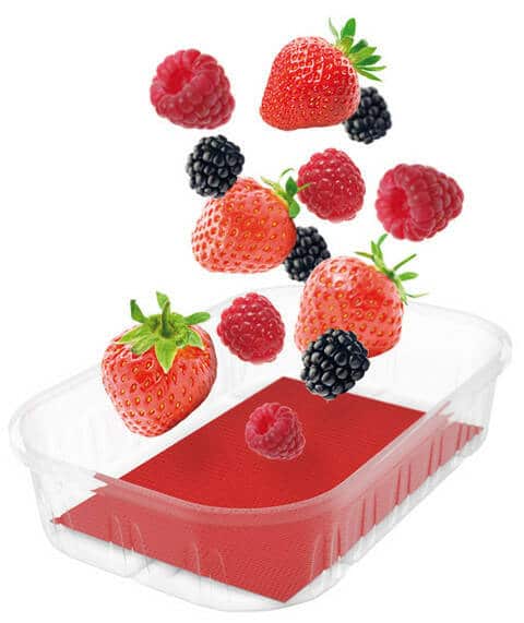 Absorptionsmatte Obst - Verschiedene Größen (10 Stück)