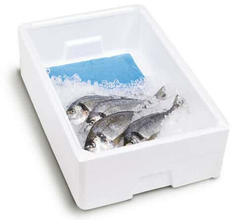 Absorptionsmåtte fisk - forskellige størrelser (10 stk.)